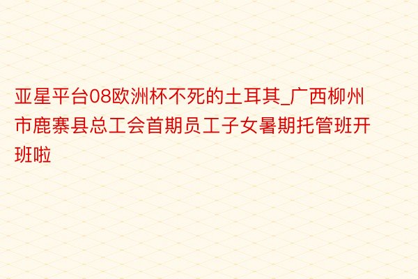 亚星平台08欧洲杯不死的土耳其_广西柳州市鹿寨县总工会首期员工子女暑期托管班开班啦