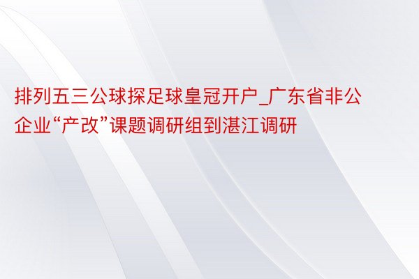 排列五三公球探足球皇冠开户_广东省非公企业“产改”课题调研组到湛江调研