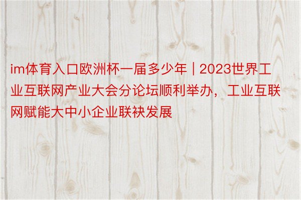 im体育入口欧洲杯一届多少年 | 2023世界工业互联网产业大会分论坛顺利举办，工业互联网赋能大中小企业联袂发展