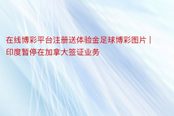 在线博彩平台注册送体验金足球博彩图片 | 印度暂停在加拿大签证业务