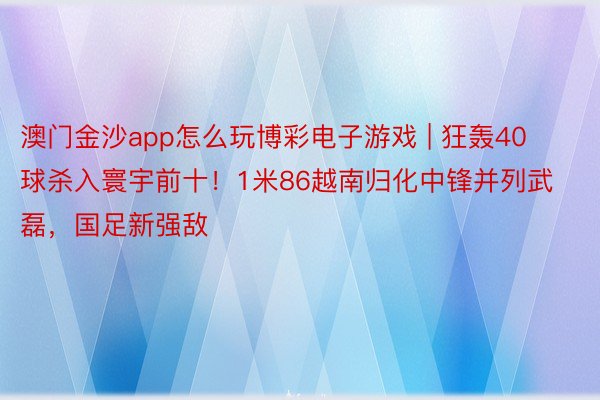 澳门金沙app怎么玩博彩电子游戏 | 狂轰40球杀入寰宇前十！1米86越南归化中锋并列武磊，国足新强敌