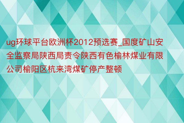 ug环球平台欧洲杯2012预选赛_国度矿山安全监察局陕西局责令陕西有色榆林煤业有限公司榆阳区杭来湾煤矿停产整顿